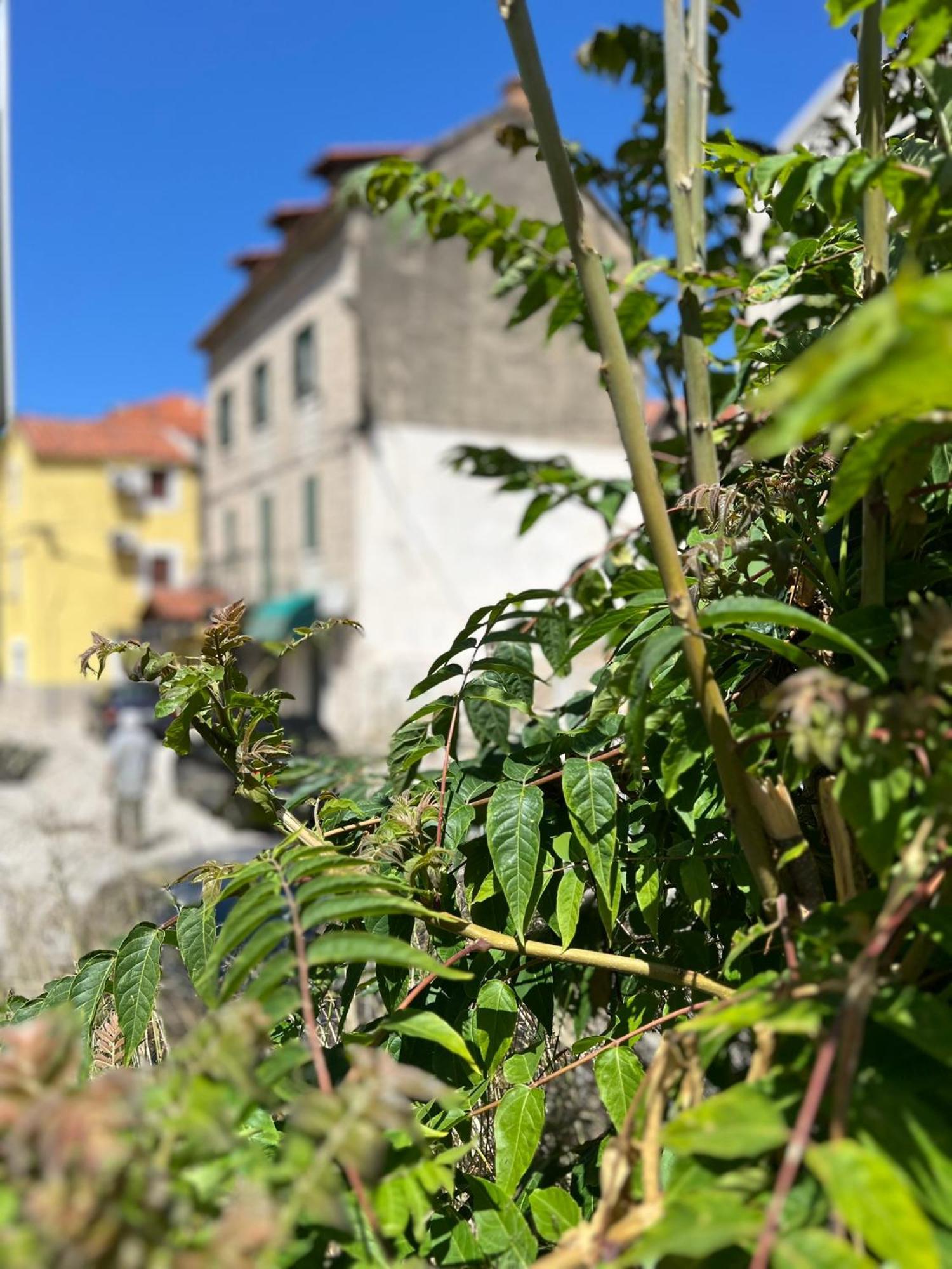 Apartment Fonte Split Luaran gambar